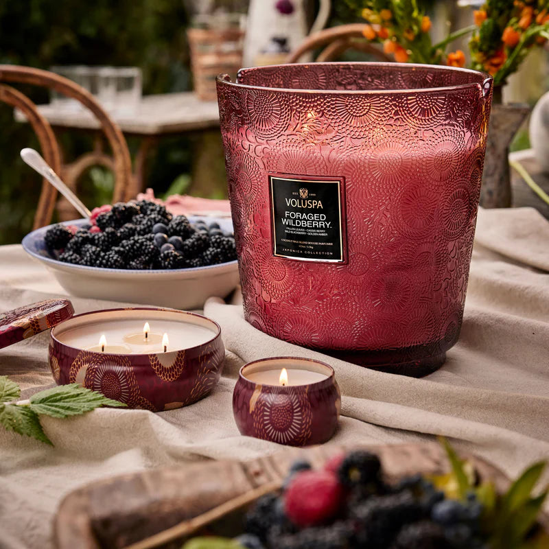 Foraged Wildberry 5 Wick Candle