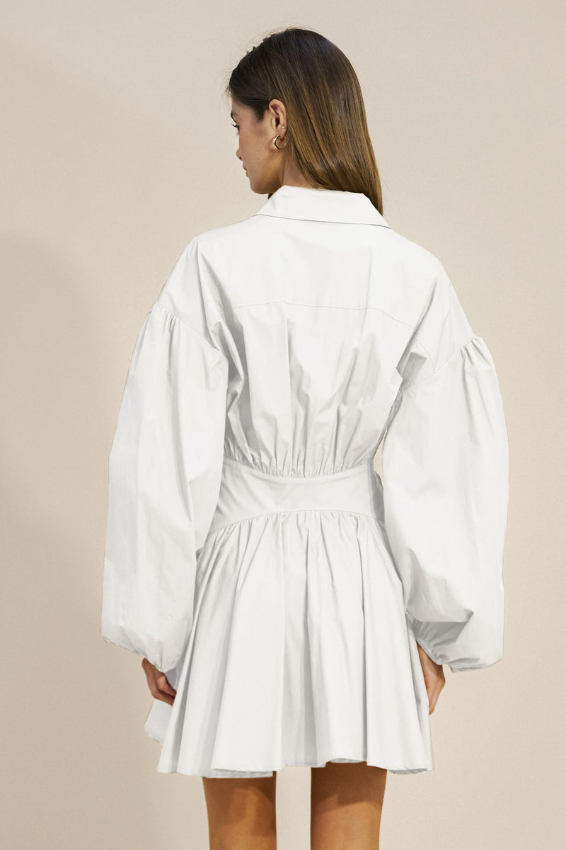 Collared Asymmetrical Button Down Mini Dress W/Long Sleeves Large