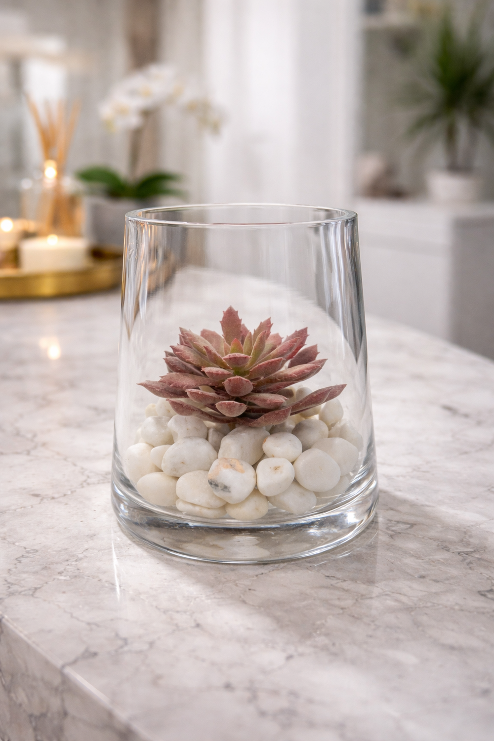 succulent in clear vase CasaMiami Pink Succulent with rocks in Glass