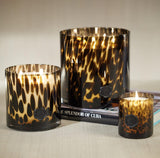Apothecary Guild Opal 3 Wick Jar Cedar Leaf & Hinoki Cypress