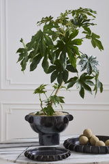 Black Reverie Bowl