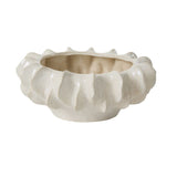 Isandro Bowl