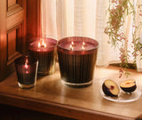 NEST Autumn Plum Classic Candle 8.1 oz
