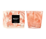 Something Tropical Decorative 3-Wick Candle by Nest New York