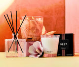 Something Tropical Decorative 3-Wick Candle by Nest New York