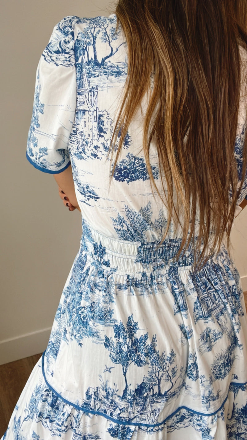 Provence Toile Blue Dress