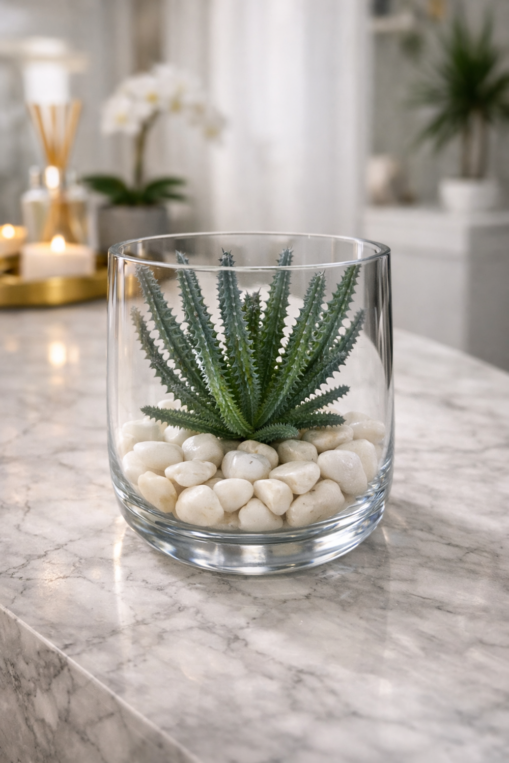 succulents with white rocks CasaMiami Succulents with rocks