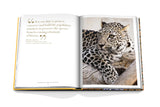 Arabian Leopard - PRINZZESA BOUTIQUE