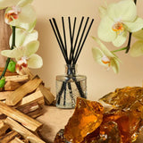 Baltic Reed Diffuser - PRINZZESA BOUTIQUE