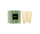 Nest Birchwood Pine Classic Candle Gold