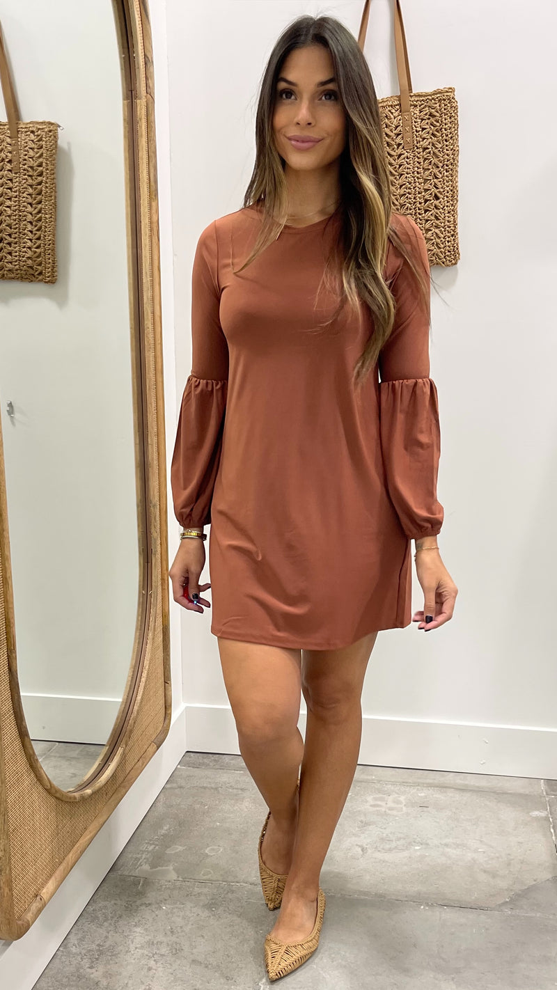 Woman wearing a brown dress standing in front of a mirror.