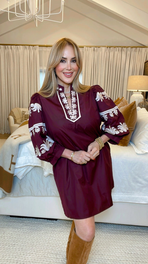 Stassi Burgundy Mini Dress