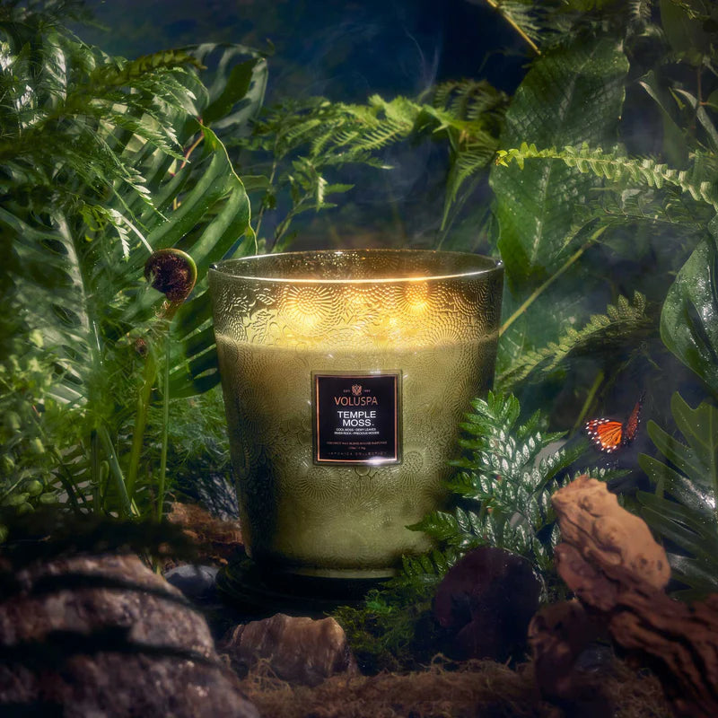 Temple Moss 5 Wick Hearth Candle - PRINZZESA BOUTIQUE