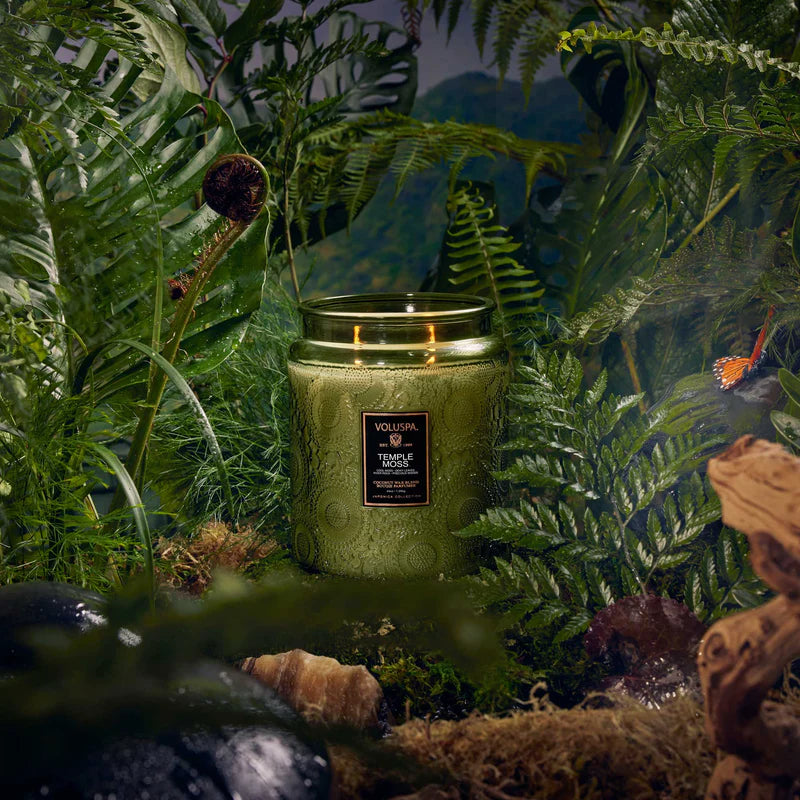 Temple Moss Luxe Jar - PRINZZESA BOUTIQUE