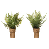 Faux Fern In Paper Wrapped Pot - Large Leaf - PRINZZESA BOUTIQUE