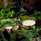 Forbidden Fig 3 Wick Tin Candle - PRINZZESA BOUTIQUE
