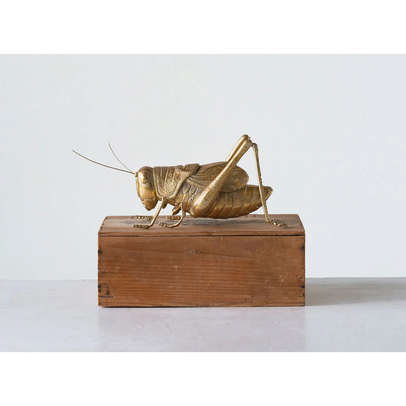 Gold Resin Cricket - PRINZZESA BOUTIQUE