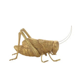 Gold Resin Cricket - PRINZZESA BOUTIQUE