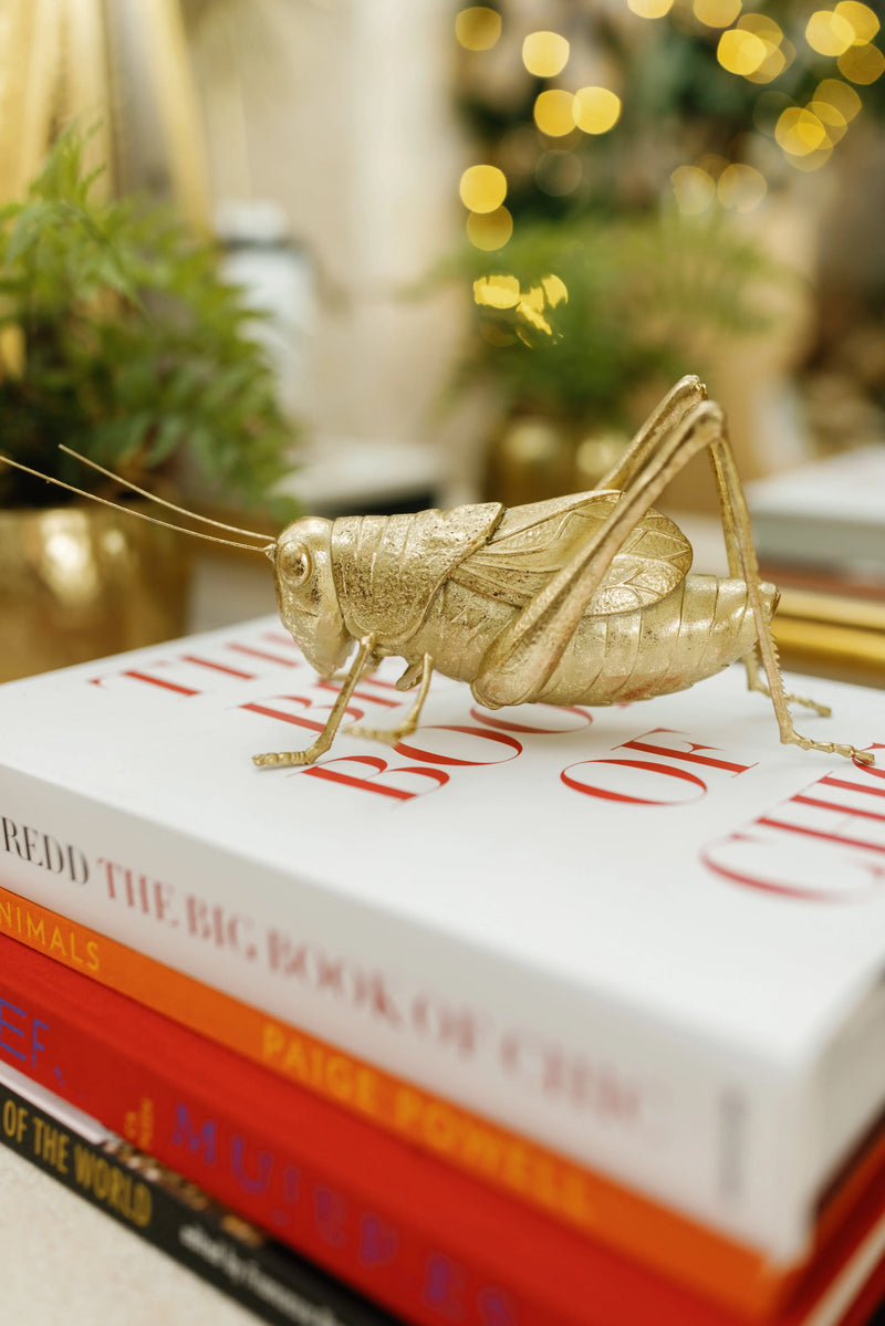 Gold Resin Cricket - PRINZZESA BOUTIQUE