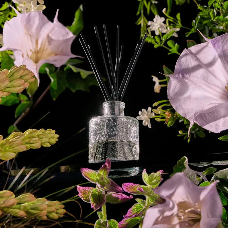 Jasmine Midnight Blooms Reed Diffuser - PRINZZESA BOUTIQUE