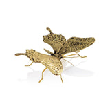 Antique Gold Butterfly ZODAX - PRINZZESA BOUTIQUE
