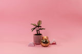 Sweet Grace Collection Candle #008